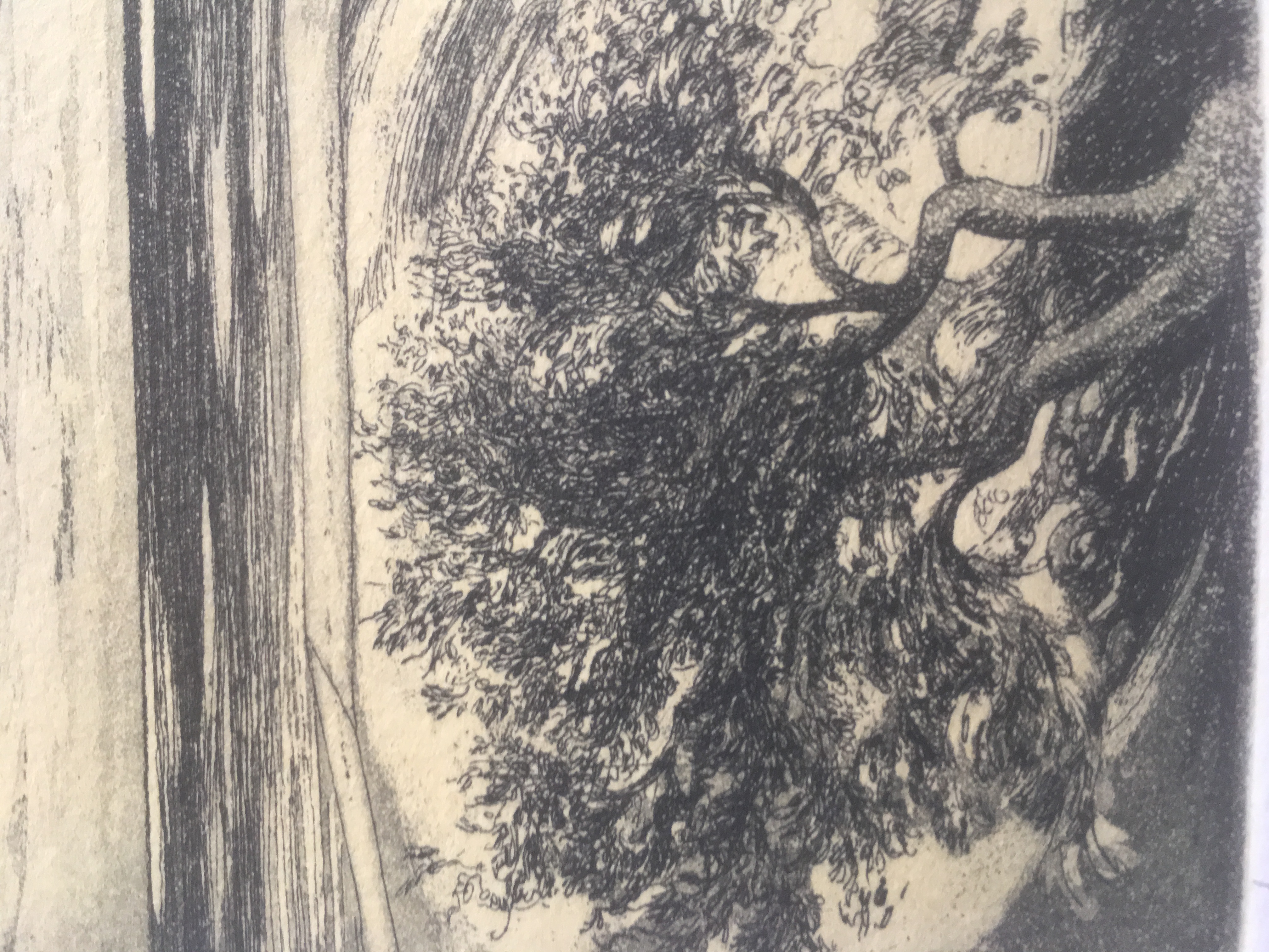 Niet of onleesbaar gesigneerd - Ets met paarden hemelvaart kopen? Bied vanaf 1!