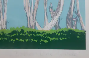 Sees Vlag - Bomen L'ile-Grande kopen? Bied vanaf 85!