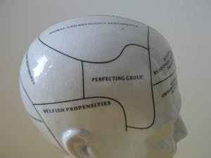 Curiosa - Phrenology head by L.N.Fowler - Met Kleur kopen? Bied vanaf 60!
