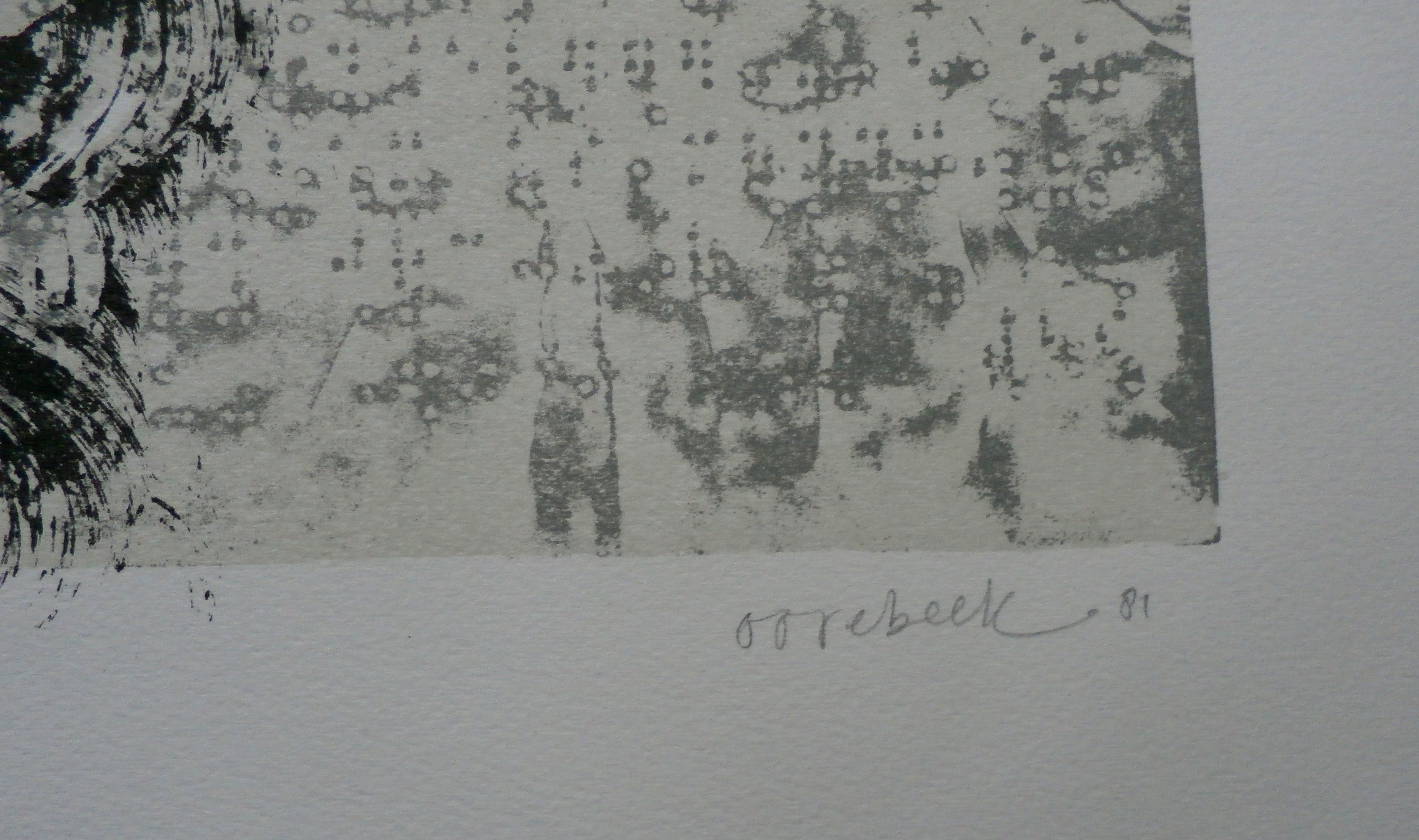 Willem Oorebeek - litho: Polia poliphile - 1981 kopen? Bied vanaf 35!