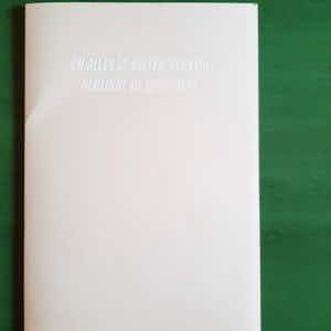 Berlinde De Bruyckere - Alles aanéén genaaid verkocht voor € 50!