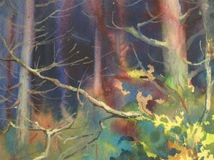 Klaas Pijlman - Aquarel , “Bos” – gesigneerd & ingelijst – Groot - 1965 kopen? Bied vanaf 75!