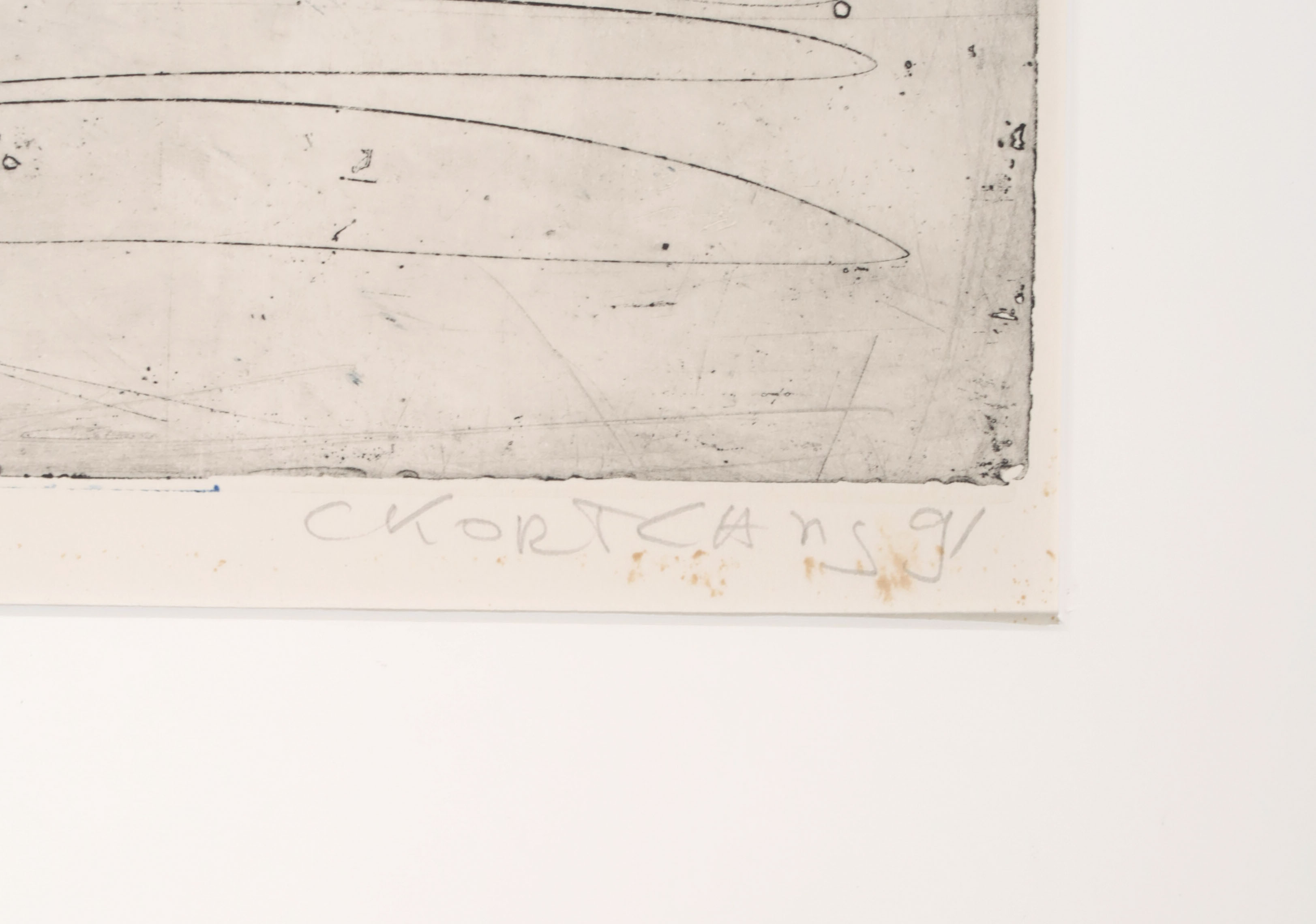 Cees Kortlang - Kleurenets, Spoor van je lichaam kopen? Bied vanaf 35!