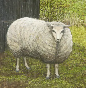 Wies Jansen - Olieverf op paneel, Schapen - Ingelijst kopen? Bied vanaf 100!