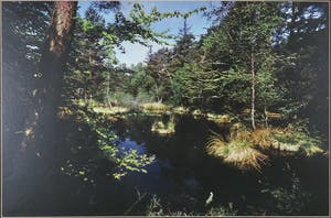 Paul Huf - Foto, Uitzicht op watertje - Ingelijst kopen? Bied vanaf 1!