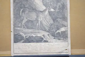 Johann Elias Ridinger - JAGD. - Hirsch kopen? Bied vanaf 5!