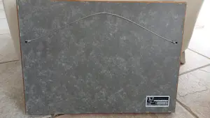 Gerrit Willem Dijsselhof - vissen kopen? Bied vanaf 900!