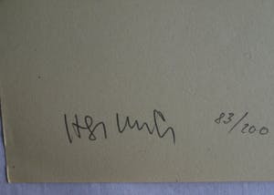 Niet of onleesbaar gesigneerd - Litho , “Vrouw met spiegel en Japanse(?) tekens” – gesigneerd kopen? Bied vanaf 1!