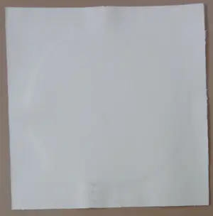 Nico Vrielink - HALFNAAKTE ZITTENDE VROUW / KLEURZEEFDRUK / 62x61cm / SIG kopen? Bied vanaf 35!