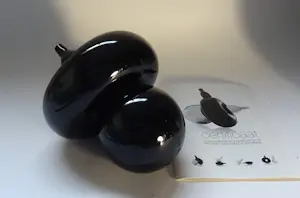 Josja Caecilia Schepman - Harmony kopen? Bied vanaf 50!