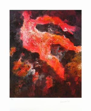 Armando - Gestalt (Rood) - Handgesigneerde Giclée kopen? Bied vanaf 115!