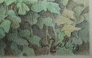 Marcel Bierenbroodspot - verliefde kikkers kopen? Bied vanaf 50!