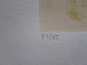 Nicole Schaap - LEVER DU SOLEIL kopen? Bied vanaf 45!