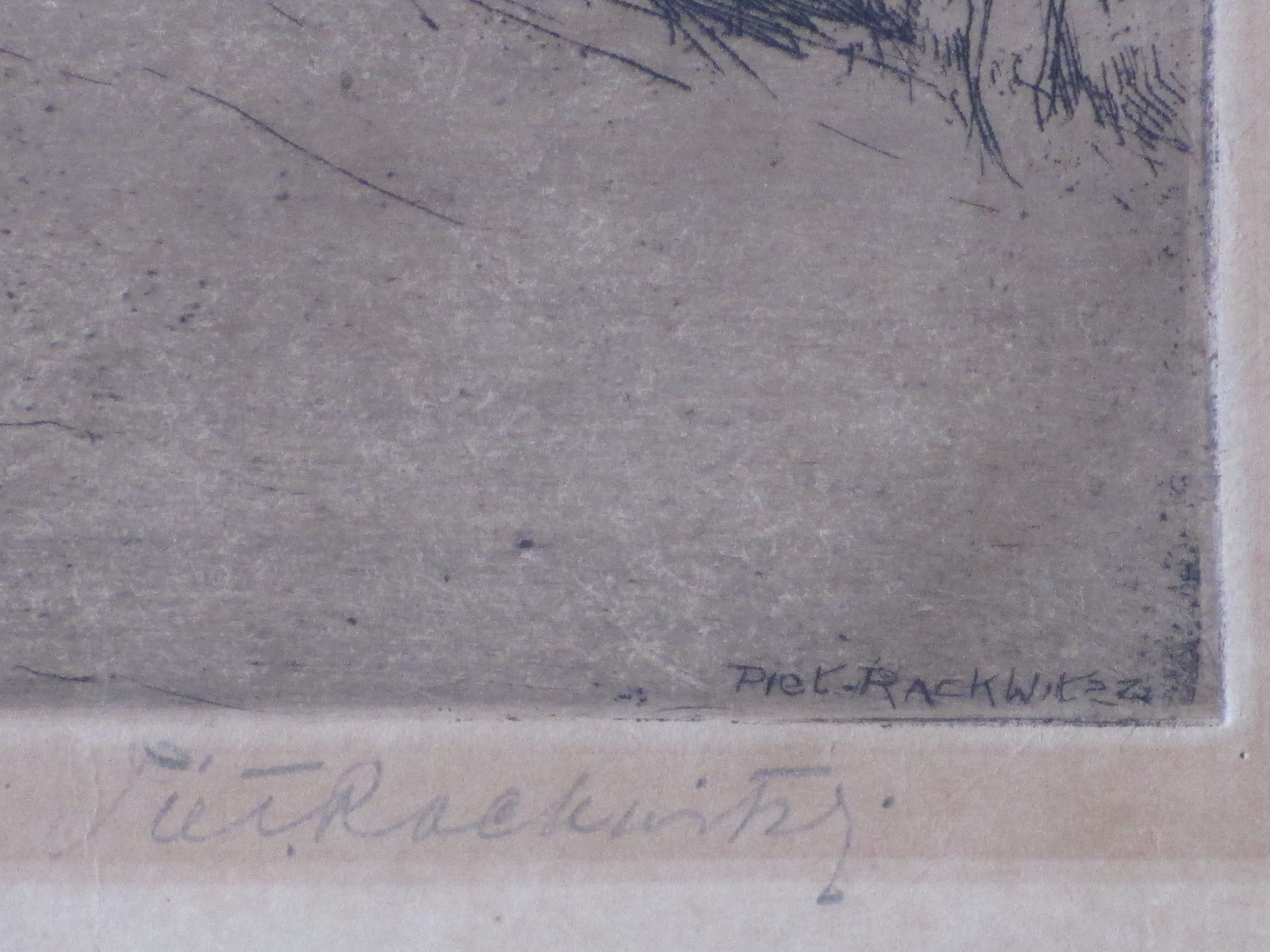 Piet Rackwitsz - Boomrijk landschap - Ets kopen? Bied vanaf 1!