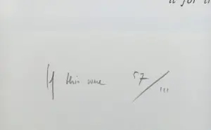 Rob Scholte - If this were a Jasper Johns, zeefdruk (groot!) kopen? Bied vanaf 125!