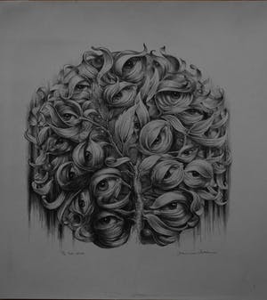 Hans van Dokkum - De ogenboom kopen? Bied vanaf 60!