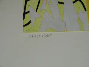 Doorlie Gerdes - Ingelijste potloodtekening , Crossover – 2020 - Lijst, 53 x 43 cm. kopen? Bied vanaf 100!