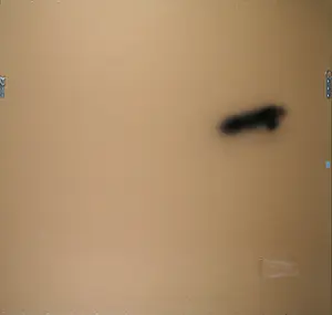 Willem van Scheijndel - Zeefdruk, California - Ingelijst (Groot) kopen? Bied vanaf 100!