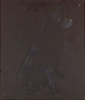 Johan van der Meulen - Hond 3 - 1976 - acryl- en lakverf op hout - BKR Ferwerderadeel kopen? Bied vanaf 20!