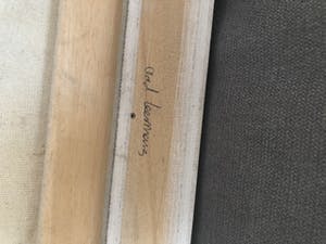 Frits van Eeden - Paard kopen? Bied vanaf 800!