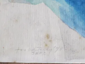 Jos van den Berg - Twee perziken op tafel - Aquarel kopen? Bied vanaf 30!