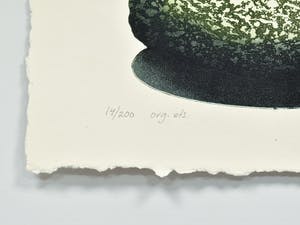 Niet of onleesbaar gesigneerd - Den Magpie , Den Merel & Den Fiskmås kopen? Bied vanaf 1!