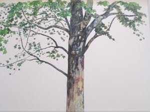 Raymond Mason - Platane - Aquarel kopen? Bied vanaf 400!