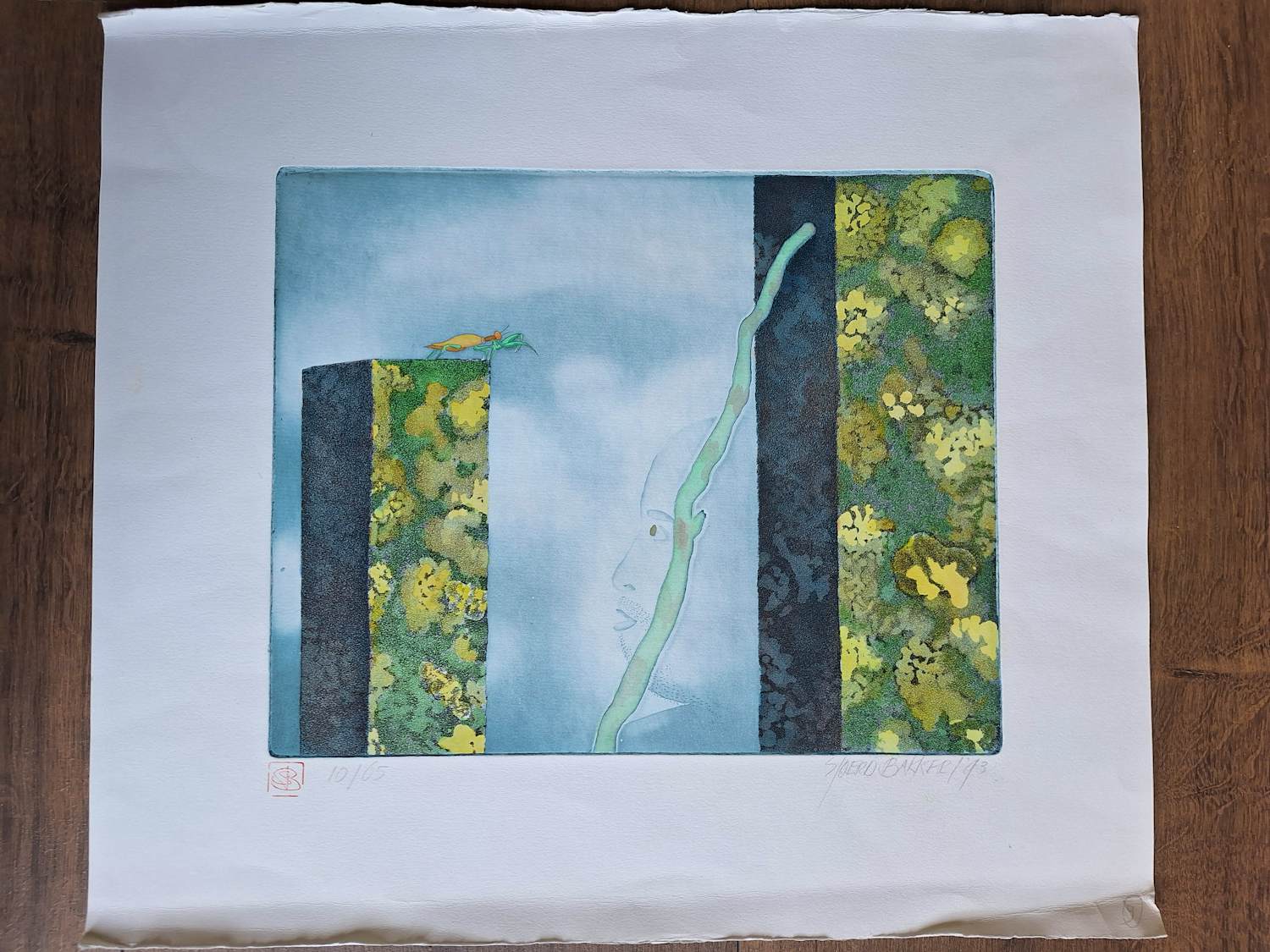 Sjoerd Bakker - Onbekend kopen? Bied vanaf 50!