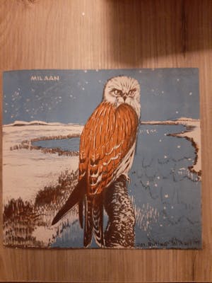 Jos Ruting - 8 platen kopen? Bied vanaf 20!