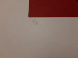 Maartje Wijngaarden - Originele zeefdruk op papier - Oplage 50 ex Titel: Afrika kopen? Bied vanaf 35!