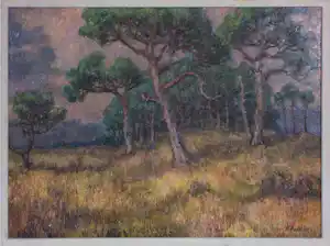 Harmen Klaas Post - Olieverf op paneel, Dennenbos - Ingelijst verkauft für € 120!