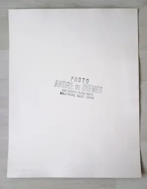 Andre De Dienes - Marilyn Monroe 1953 - original Vintage Fotographie kopen? Bied vanaf 800!