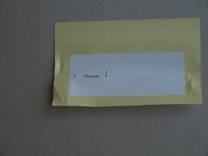 Paul Huf - Foto , Flowers : Gele Narcissen – gesigneerd & ingelijst - 1984 kopen? Bied vanaf 1!