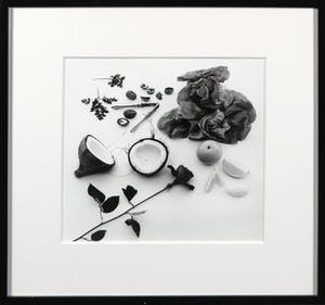 Paul Huf - Foto, Ranta kopen? Bied vanaf 1!