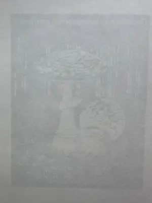 Maurits Cornelis Escher - Paddenstoel kopen? Bied vanaf 1250!