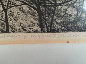 Paulien Wittenrood - Wolfheze I kopen? Bied vanaf 10!