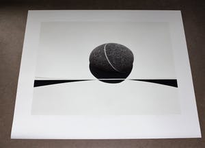 Peter Ruting - The Divided Landscape kopen? Bied vanaf 50!