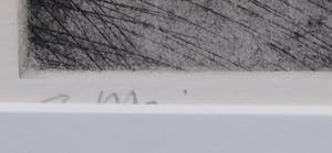 Geert Jan Maring - Ets, Komen en gaan - Ingelijst kopen? Bied vanaf 1!