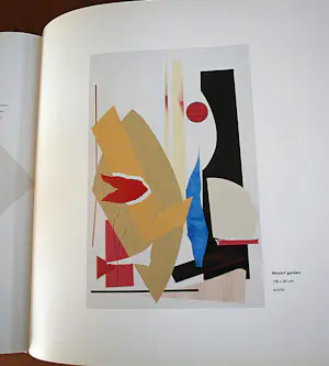 Nico van Stralen - ingelijste grote zeefdruk 'Volging' - extra: een gesigneerd boek kopen? Bied vanaf 100!