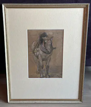 Johan Meijer - Trekpaard kopen? Bied vanaf 60!