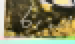 Herman Brood - Heartbreak Hotel - Originele Handgesigneerde Zeefdruk kopen? Bied vanaf 1!