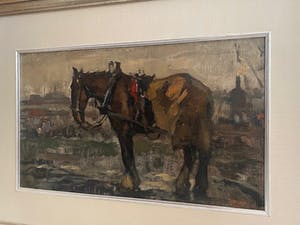 Cor Noltee - “Paard in het veld” kopen? Bied vanaf 800!