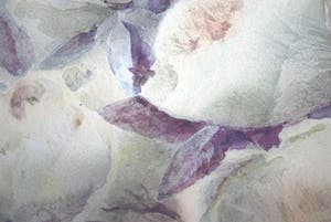 Carel Alphons Eckstein - Aquarel rozen 19e eeuw kopen? Bied vanaf 150!