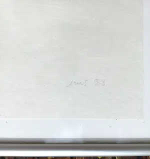 Jose Maria Sicilia - Luz plegada, gemengde druktechniek en collage op japans (net ingelijst, groot) kopen? Bied vanaf 1!