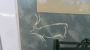 Harrie Gerritz - Heldere maan in landschap kopen? Bied vanaf 59!