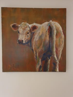 Mieke Robben - Koe bruin kopen? Bied vanaf 40!