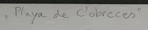 Sees Vlag - Zeefdruk: Playa de C'obreces 1977 kopen? Bied vanaf 79!