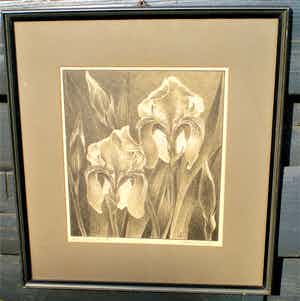 Jan Schonk - Orchideeën verkocht voor € 35!