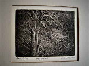 Freerk Los - Zeldzaam mooie Mezzotint "Herfstbos bij Nacht" gesigneerd kopen? Bied vanaf 10!