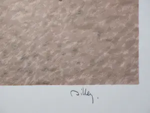 Ramon Dilley - Élégante à Deauville, LITHOGRAPHIE originale signée, 250ex kopen? Bied vanaf 60!